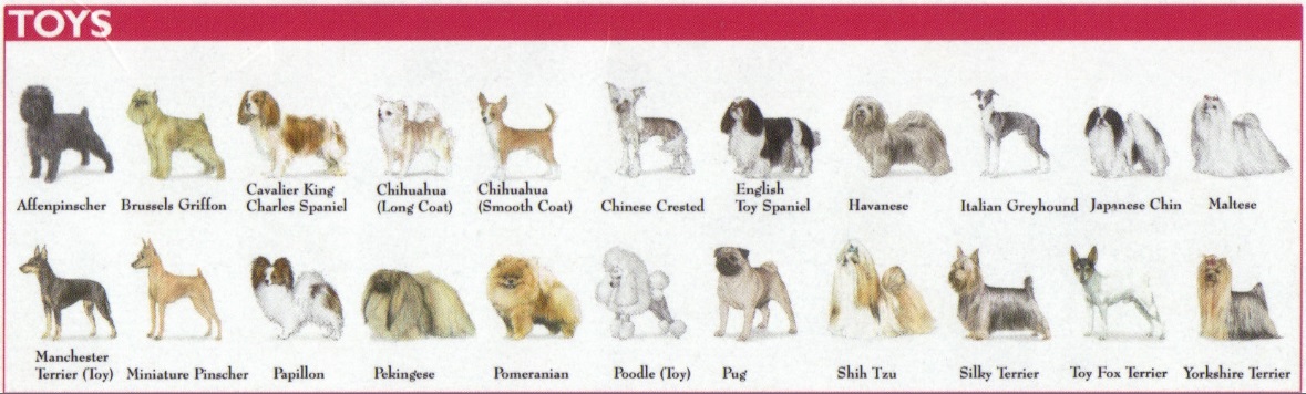 Toy hot sale group breeds